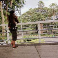 Latief Herlino (@mesut_ozil313) 's Twitter Profile