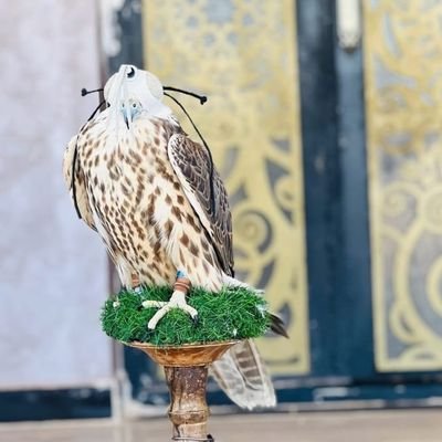 - اللهم لاتدّع لنا ذنباً إلا غفرته ولا مريضاً إلا شفيته ولا ميتا إلا رحمته ولا دعاءً إلا استجبتهُ ولا تائباً إلا قبلته