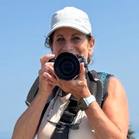 Sheryl Checkman (@diveartist) 's Twitter Profile Photo