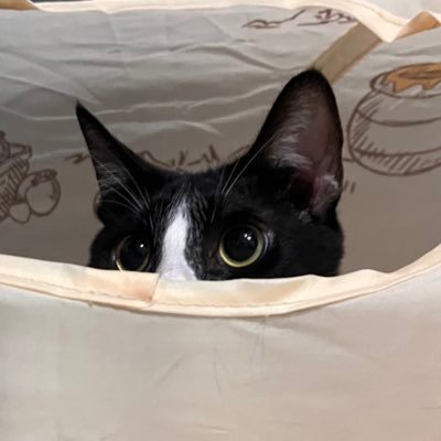 lihua0_o's profile picture. 