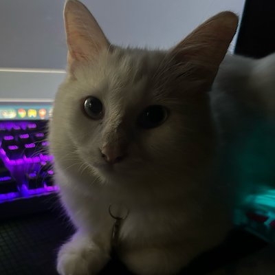 KuroWeb3's profile picture. PM, Video Editor, and Automations Senior at @Growgami | Crypto Trader 📊 | Gamer 🎮