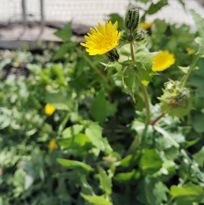 aXi9df0sgJ6527's profile picture. はじめまして、私は(多分)HSPで、機能性構音障害を持っている22歳です。#機能性構音障害  #HSP  #HSP HSS
生きづらい、困り事がある方と一緒にお話したり、ご相談にのりたいと思っています。DMでも大丈夫です🙌※変な勧誘等は固くお断りさせて頂きます。