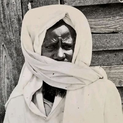 faye_mourtada's profile picture. 