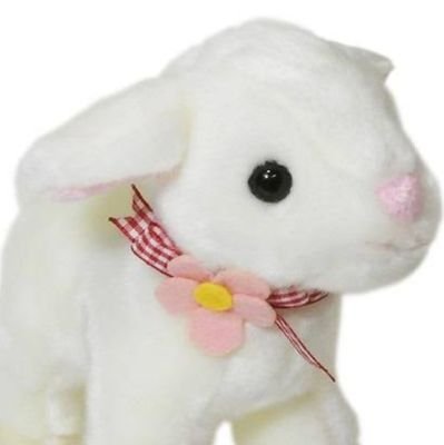 Number_YSK's profile picture. 顔良し✨歌上手い🎤性格良し💖の3人が揃った奇跡🤩
Number_iの誕生をリアルタイムで見られて良かった🥳
名前は可愛いけど、いい大人です😅

無言フォロー失礼します🙇

山羊座
愛知県