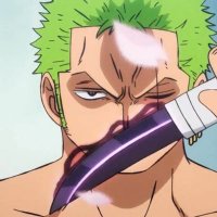 rorona zoro (@roronazor00) 's Twitter Profile