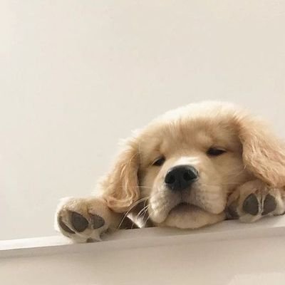 Sexynaughtybit4's profile picture. up & down