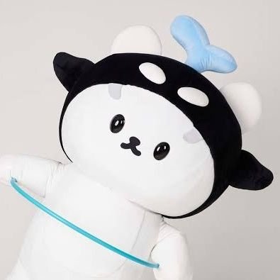 not_your92016's profile picture. 