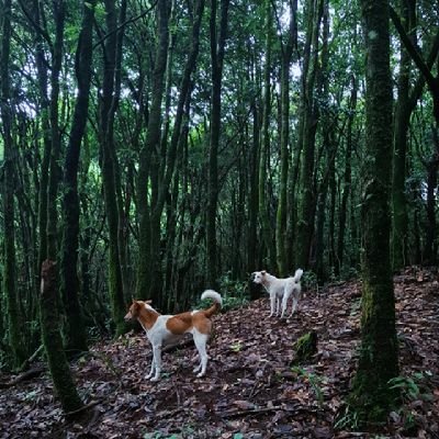 असल मानिस हुनमा कसैको धर्म, जीवनस्तर, जाति, रंग, राजनीतिक विचार, वा संस्कृतिमा भर पर्दैन। तपाईँ अरूलाई कसरी ब्यवहार गर्नुहुन्छ त्यसमा निर्भरपर्छ।
