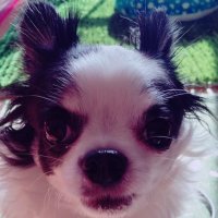 中根 夕汐 (@yuseoooon) 's Twitter Profile
