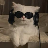 ᴡᴀɢʏᴜ (@waagyuu_) 's Twitter Profile Photo ᴡᴀɢʏᴜ (@waagyuu_) 's Twitter Profile Photo