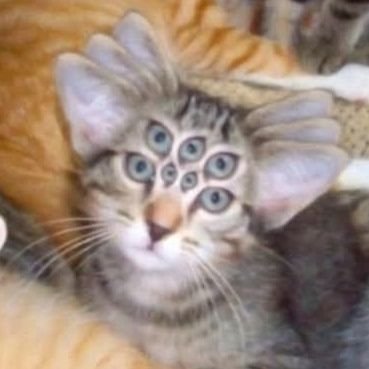 TeaBooksAndZaa's profile picture. My name is Pa' Preon,  like a preon star★🦁
Part of my name is on the periodic table. Happy housewife. Enjoys trolling people