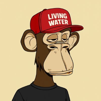 MetaMidasZ's profile picture. Before Satoshi ; Before Tom