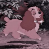 Yours (@mmhmxo) 's Twitter Profile