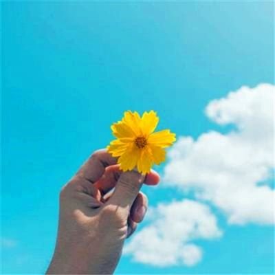 yqin3865's profile picture. 