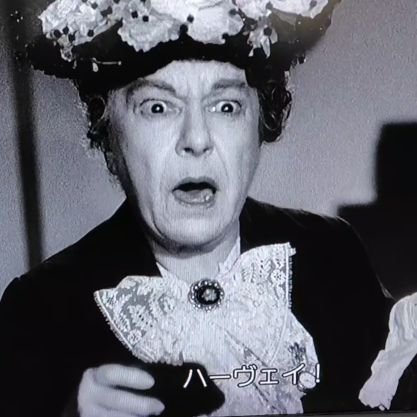 おもに映画のこと。劇場での鑑賞は年間80〜100本程度。ジャンルを問わずなんでも見ますが、特に古い映画のローテク特撮に敬意を抱く者です。捨てられていたシトロエン2cvをレストアして乗ってます。よければ、お気軽にフォローを。