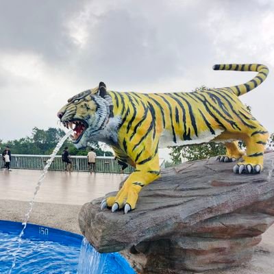 KentoIhara's profile picture. keep calm