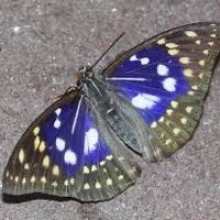 勘吉 (@vqxi5mgxdr53870) 's Twitter Profile