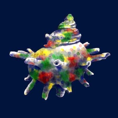 海辺暮らしのリサーチコレクター、標本アドバイザー🐚 & 🎸ギタープレイヤーが管理する「𝐓𝐮𝐫𝐛𝐣𝐨𝐤𝐞 𝐌𝐮𝐬𝐞𝐮𝐦」から貝類・海洋生物など、自然の妙をお届けします。
📚『タカラガイブック』📚『海辺で拾える貝ハンドブック』📚『美しき貝の博物図鑑』等々。※写真の無断転用を禁じます。