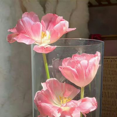 hehuacuncuncao's profile picture. Nice day !