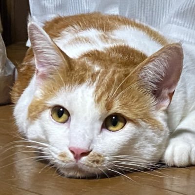 Fy1zPkCtOC40763's profile picture. 