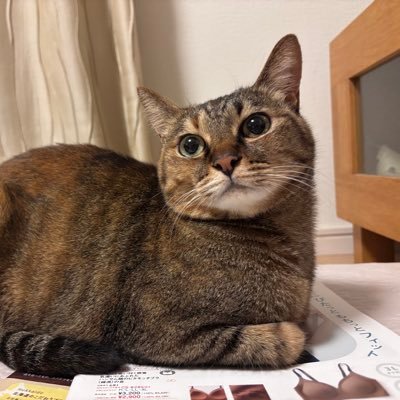 Daidai0317ku's profile picture. 