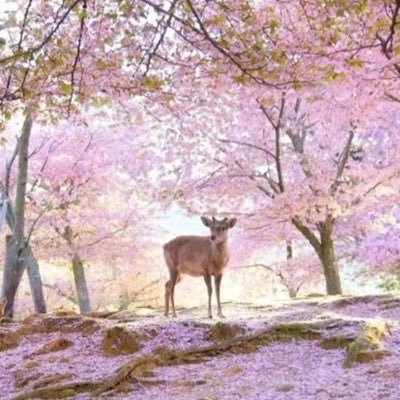 yumea36980's profile picture. 