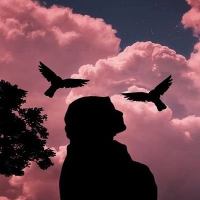 haddfdfgove3's profile picture. 