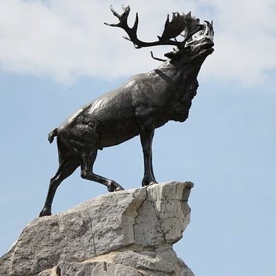 KatherineG12629's profile picture. 65yrs old, walks with a sparkly  cane deplores stupidity, pro-nouns mom/nanny. Will not put up with racist or hateful people. No DMS 🧙‍♀️🌈💙👩‍⚕️♿️ BLM🏳️‍🌈