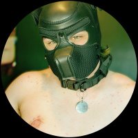 puppy-fish (@puppy_fish_ad) 's Twitter Profile