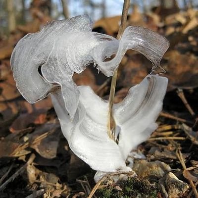 Learn Something New About Nature Every Single Day