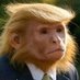 Donald TARIFF💲🎖️🧨 (@donaldtariff1) Twitter profile photo Donald TARIFF💲🎖️🧨 (@donaldtariff1) Twitter profile photo