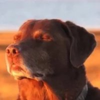 anshxl (@data_guy69) 's Twitter Profile Photo anshxl (@data_guy69) 's Twitter Profile Photo