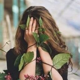 Erxiravui9160's profile picture. 