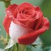 Mr. Khan (@_ptikhan1) Twitter profile photo Mr. Khan (@_ptikhan1) Twitter profile photo