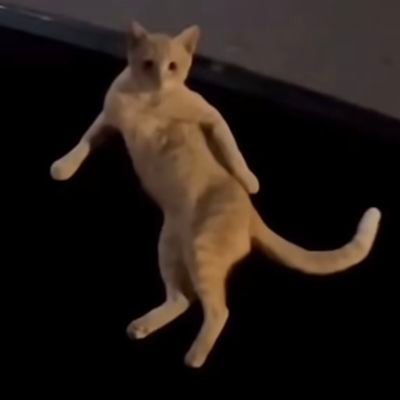 xantaresinoglu's profile picture.