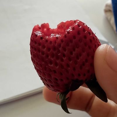 Its_Selarrr's profile picture. A'TIN 
of 
SB19