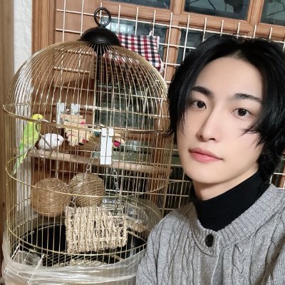 angrybirdatzhwa's profile picture. Though it may be slow, at my own pace, that’s how I’ll move forward. As long as I don’t stop, I’ll reach the top. 
ATINY since Pirate King/Treasure era