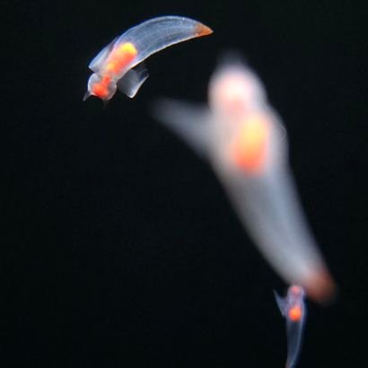 15eo_'s profile picture. 