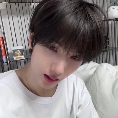 evioan011's profile picture. @Enhypen@NCT DREAM