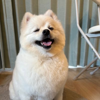 0cpqqhAgpe73000's profile picture. 沖縄から、名古屋に移住🎉