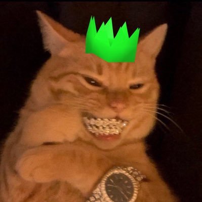 Txrrikk's profile picture. 