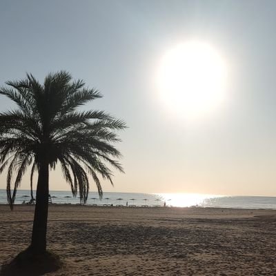 Aranchitamd's profile picture. 