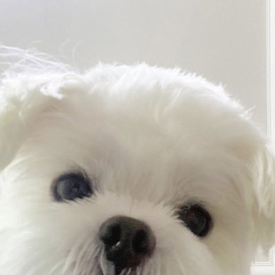 s_w_mandoo's profile picture. 전혜주 이한별 정단비 최이레 이지연