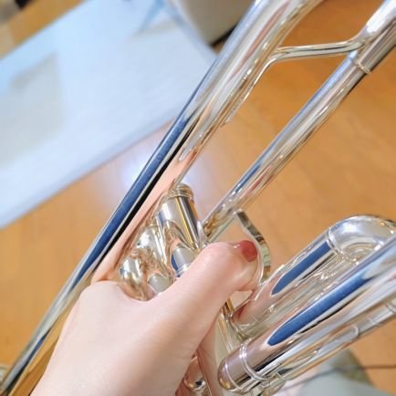🎻アマオケ🎸UNISON SQUARE GARDEN/sumika/FM802/カワラボ/TenTwenty/BIGMAMA/🎹から🥁吹奏楽🎺学生オケ/ブランクを経て楽器再開しました🌱犬派で夜型の雑多垢です