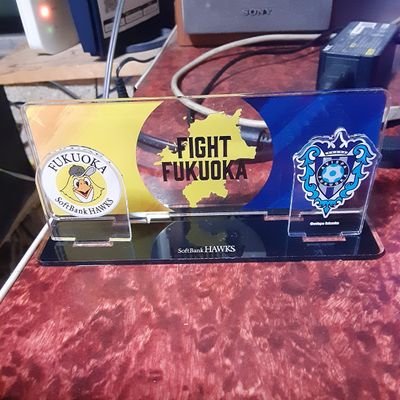 アビスパサポーター、8紺野、11見木、14名古、20安藤⚽️🐝九州Jクラブ応援、Vファ-ァレン長崎、ホークスファン⚾️3近藤、32柳町、99野村勇⚾️釣り🎣