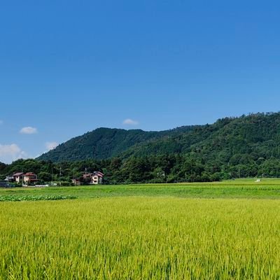 booooooo_human2's profile picture. 1人目→@booooooo_human