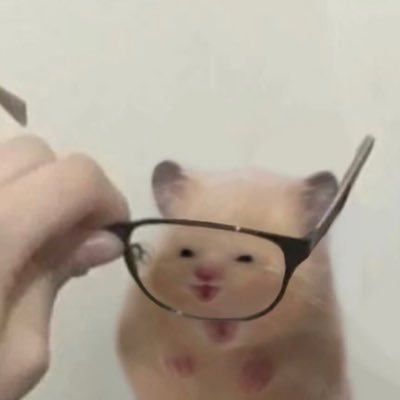 animal__yokocho's profile picture. 風呂で飲酒することを毎日心掛けている