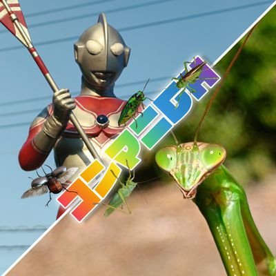 特撮と昆虫が大好きなYouTuberです。
URLからチャンネル飛べます！