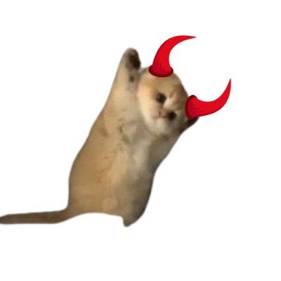 chaton is a mfking cat on base | 2 billion tokens for community rewards | ticker $canton | https://t.co/ayeckjX8u4 | CA 0x3bF0170Ad9C5E7aA41104eD028Eb5c5A12