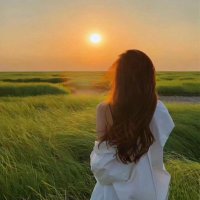 Miki (@calicovanill) Twitter profile photo